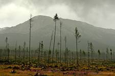 Słowackie Tatry