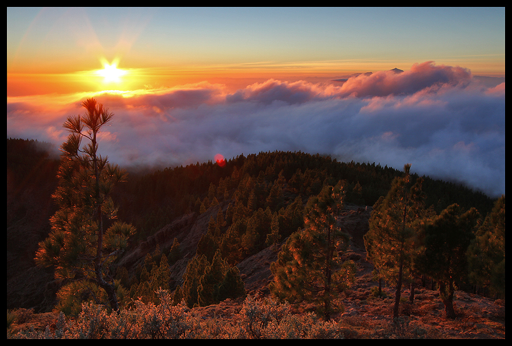 Pico de las Nieves