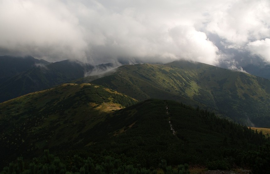 Rakoń. Tatry.