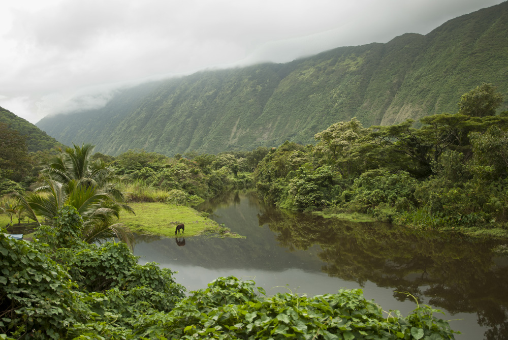 WAIPI\\\'O VALLEY