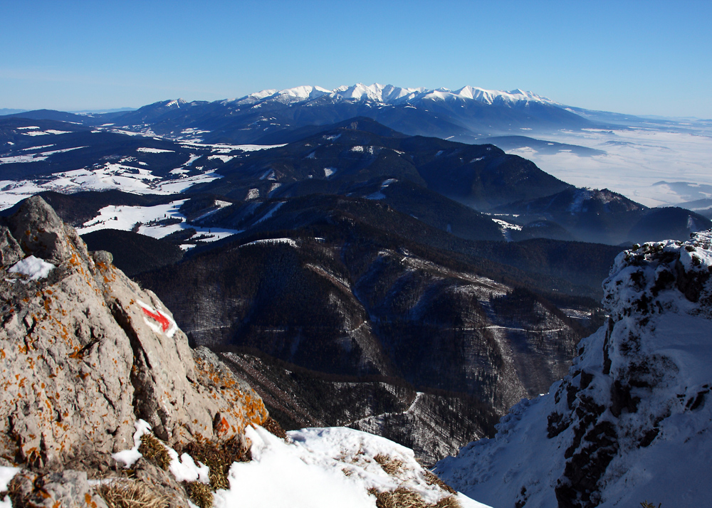 Tatry widziane z Wlk. Chocza (30.01.2011)