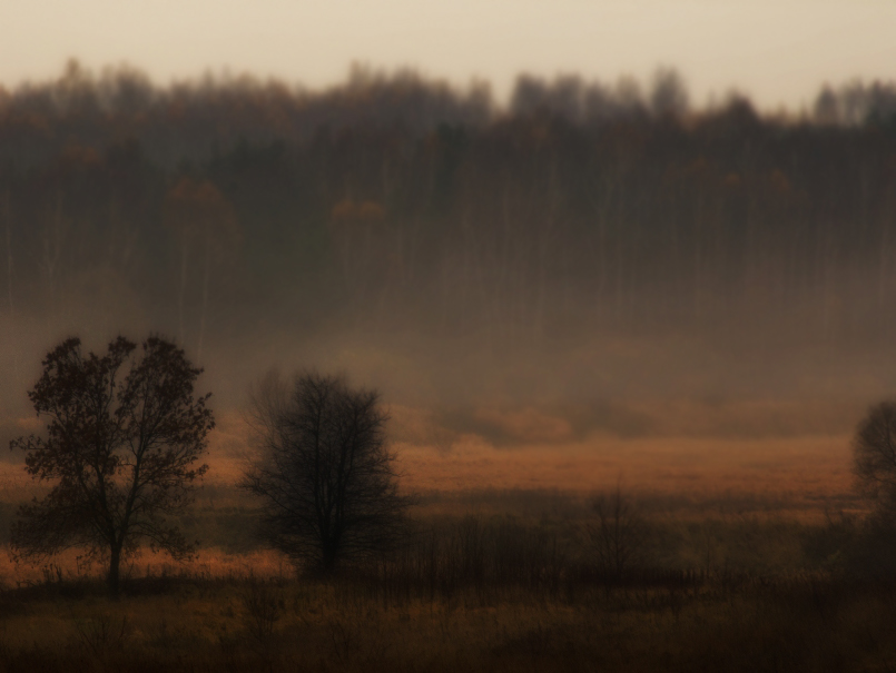 świt nad Wartą