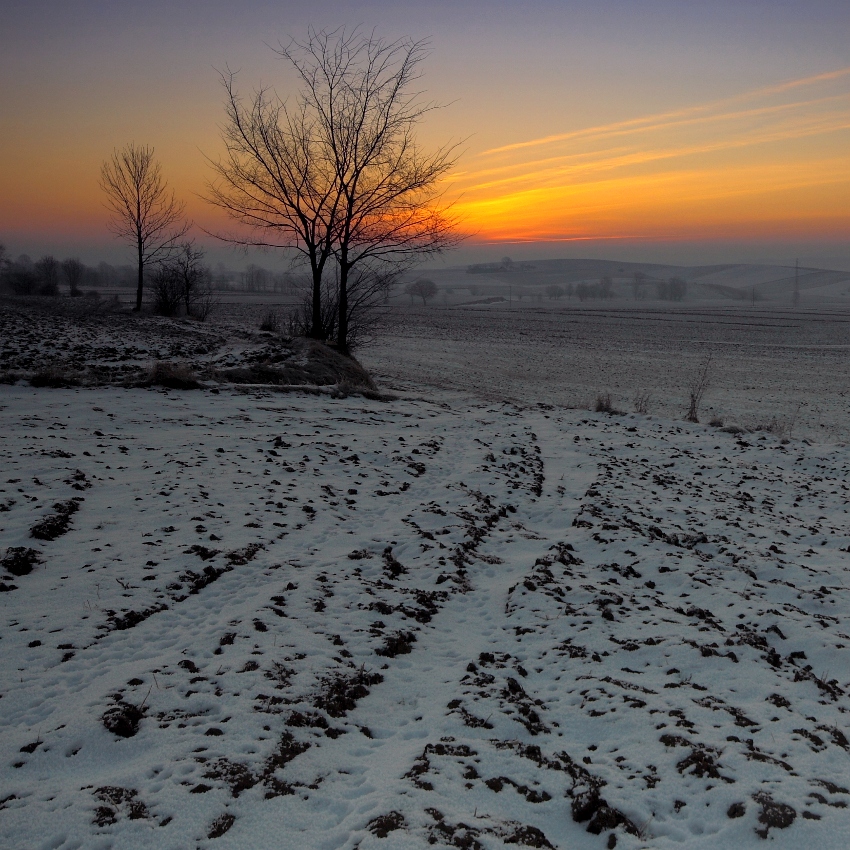 Wyżyna Miechowska