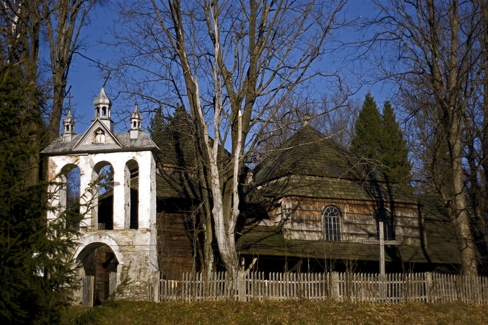 Bieszczady-Liskowate