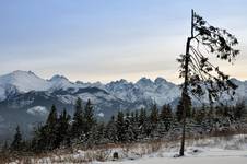 Tatry