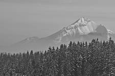 Tatry