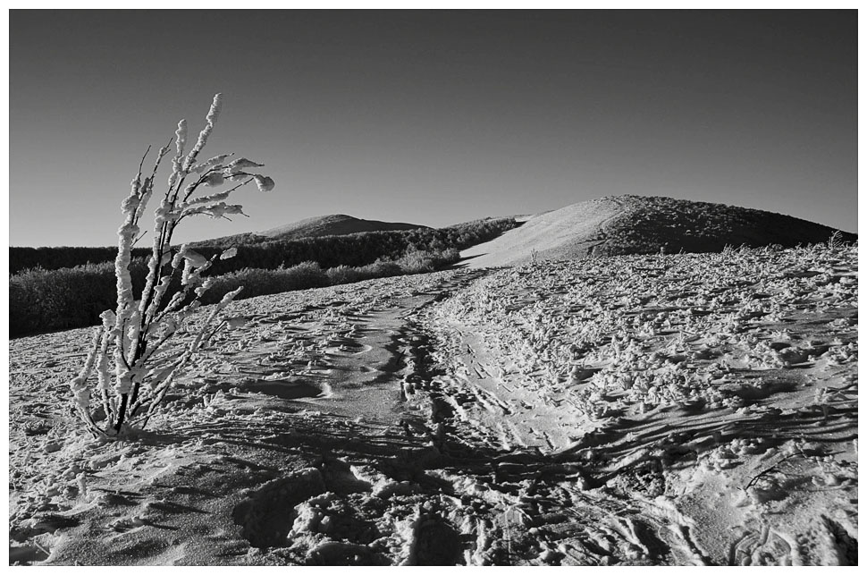 Bieszczady 2011