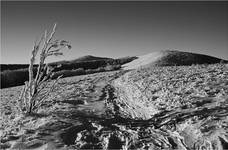 Bieszczady 2011