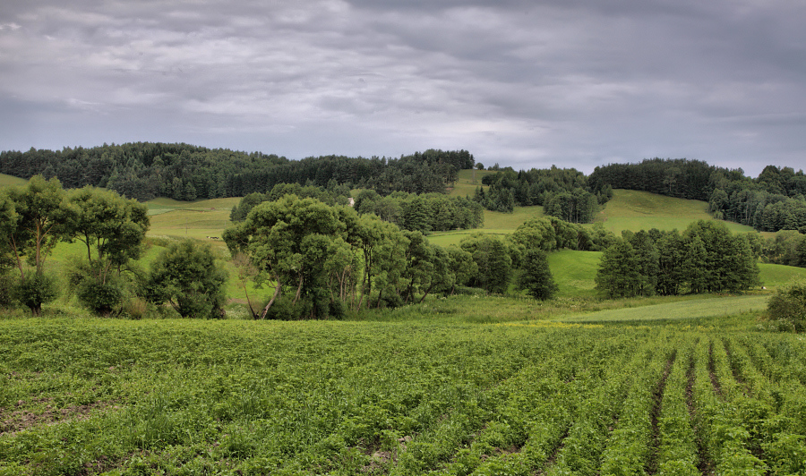 Wodziłki HDR