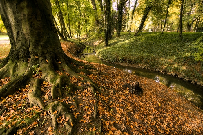 Park Sołacki