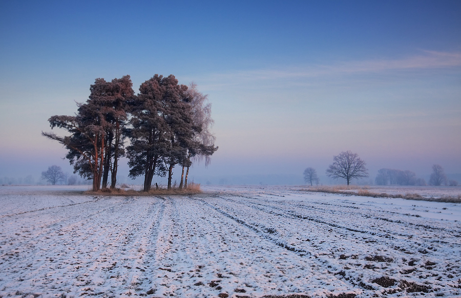 Mroźno na polanach