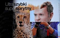 szybki i wściekły