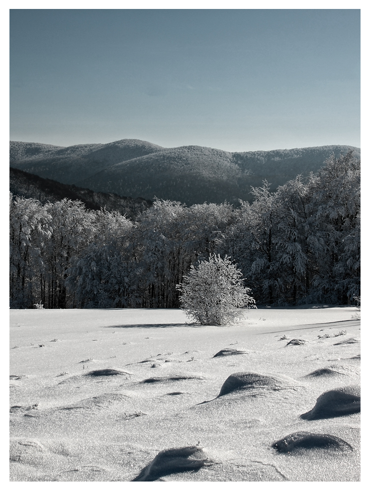 Bieszczady