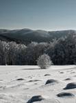 Bieszczady