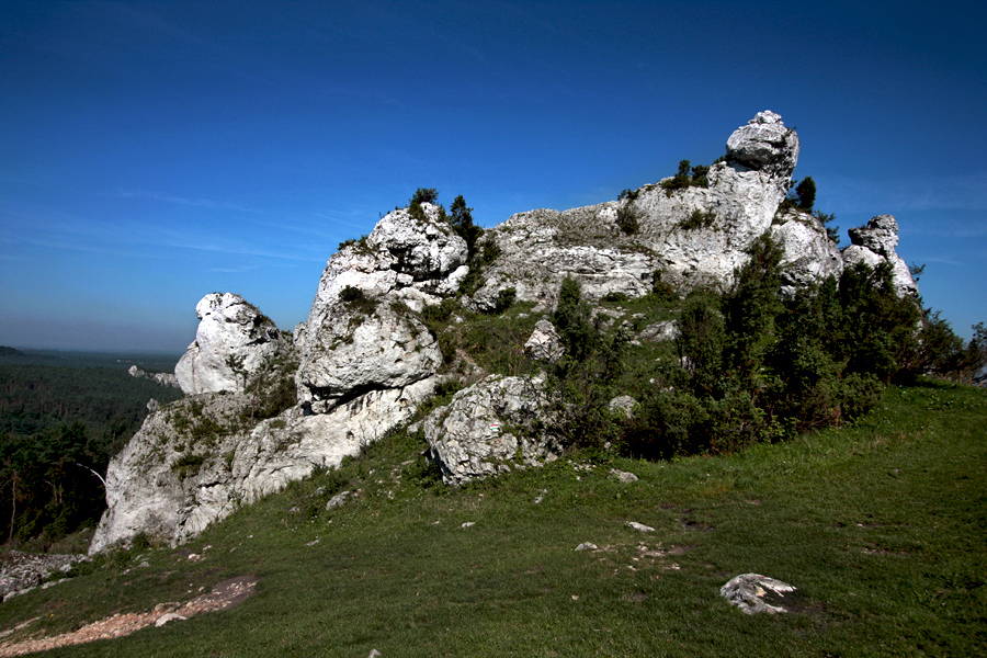 Góra Zborów