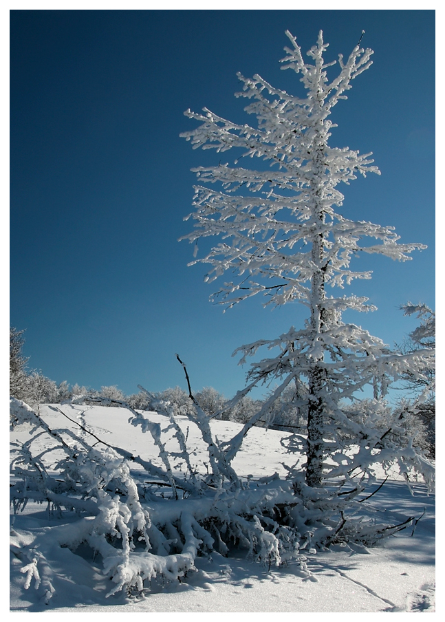 Bieszczady