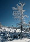 Bieszczady