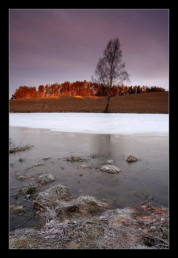 Przedwiośnie