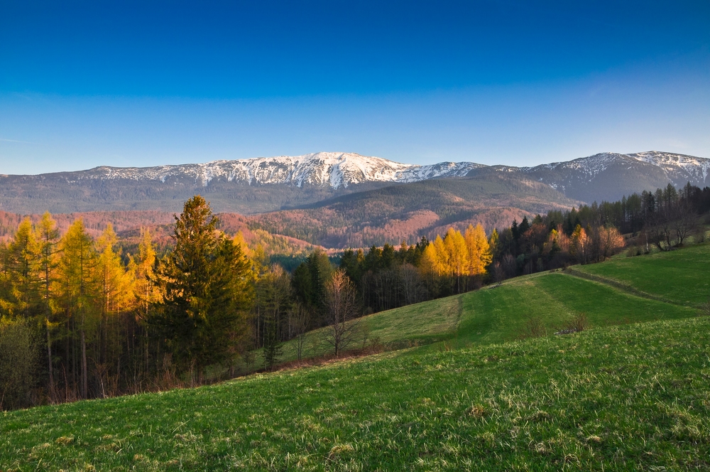 Babia Góra popołudniem