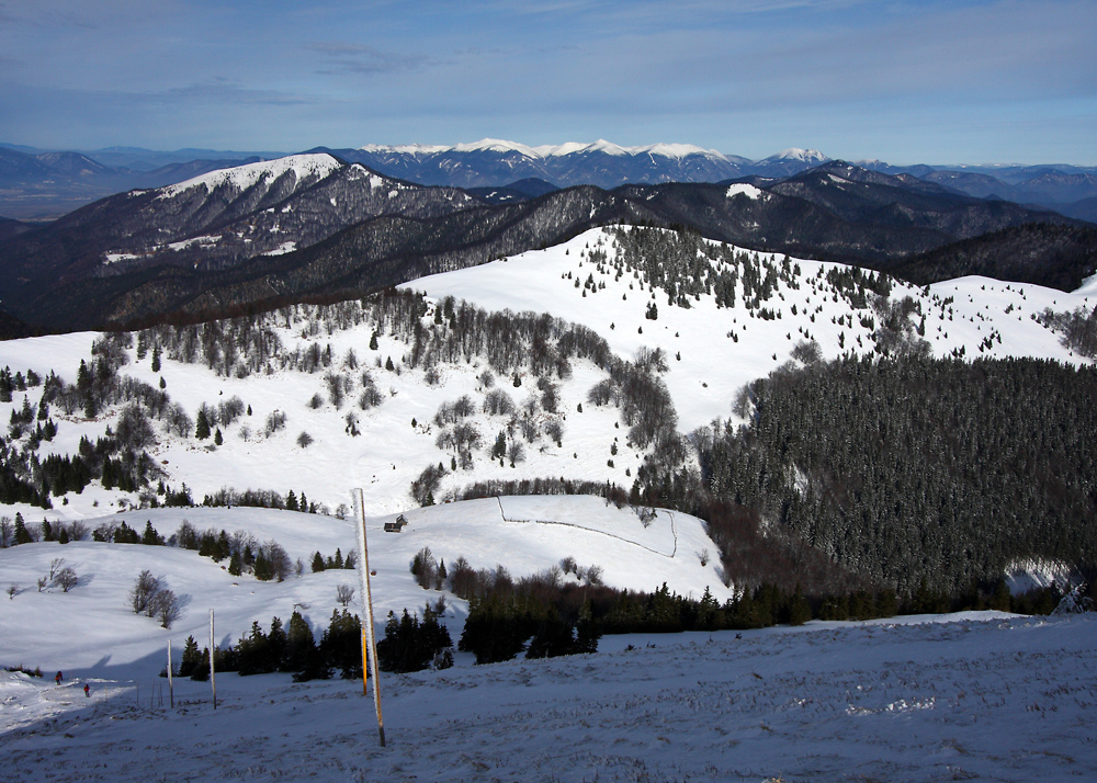 Mała Fatra widziana ze zbocza Ploski (Wlk. Fatra)