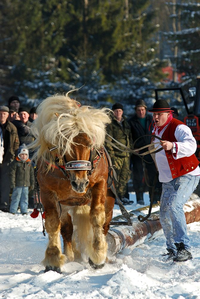 Furman-Istebna 2011