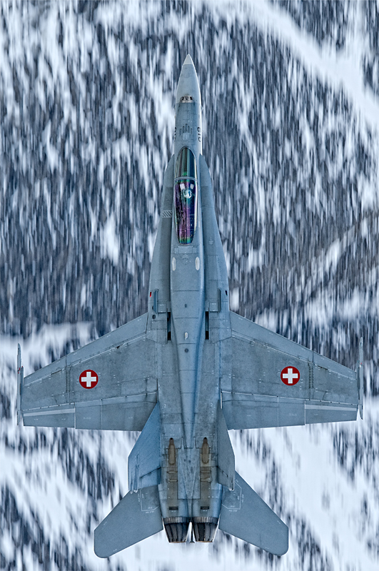 Ice Hornet