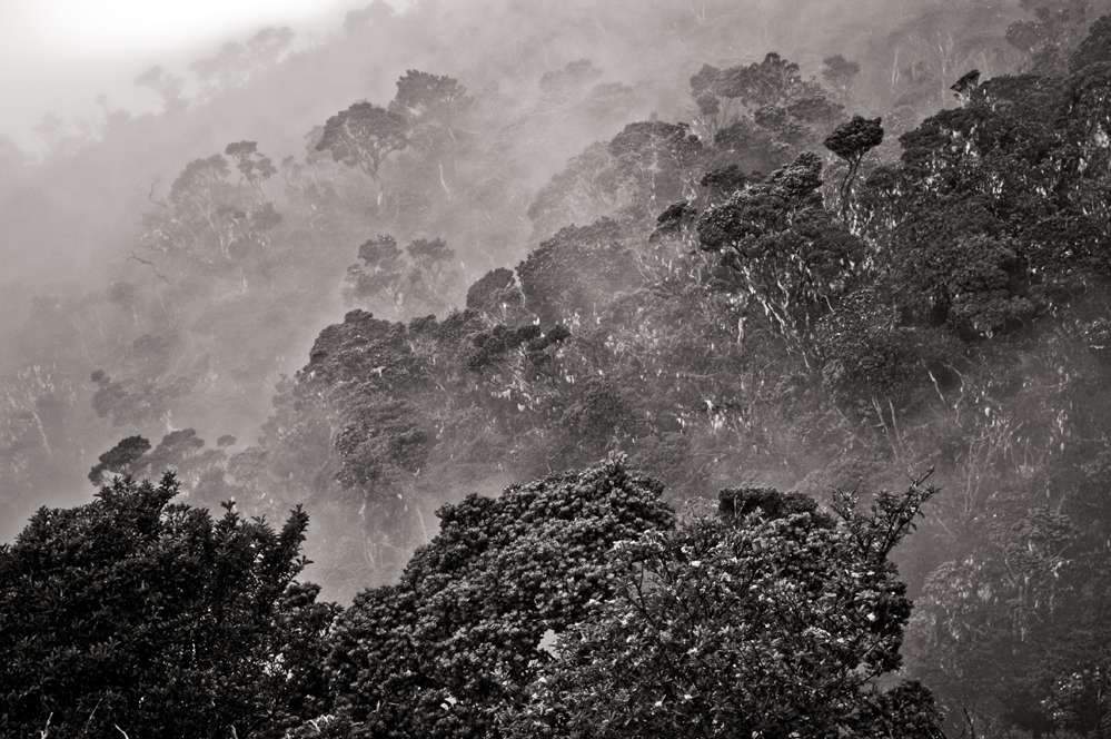 Zbocza Mt. Kinabalu