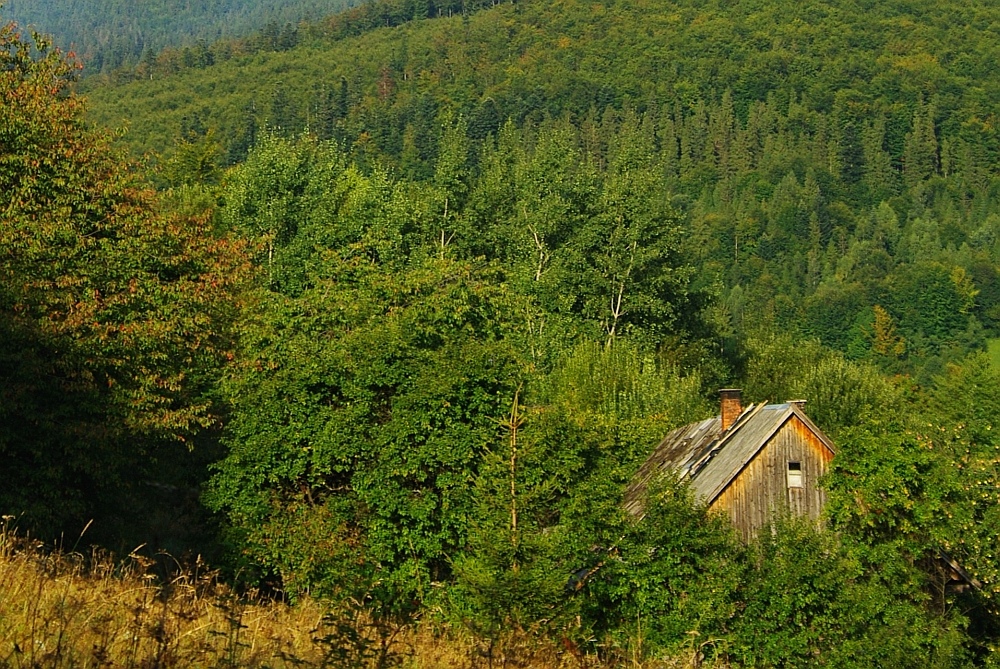 Domek babuni.