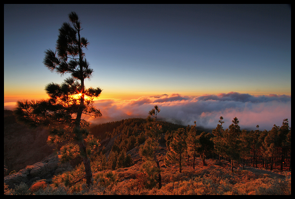 Pico de las Nieves