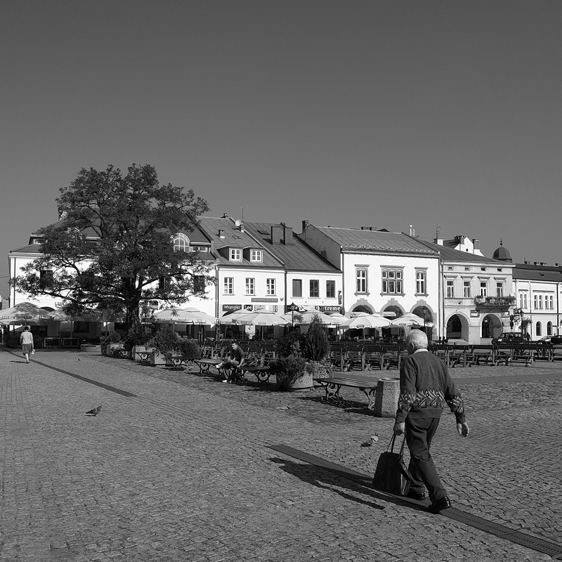 Głupi Jaś w pogoni za własnym cieniem.