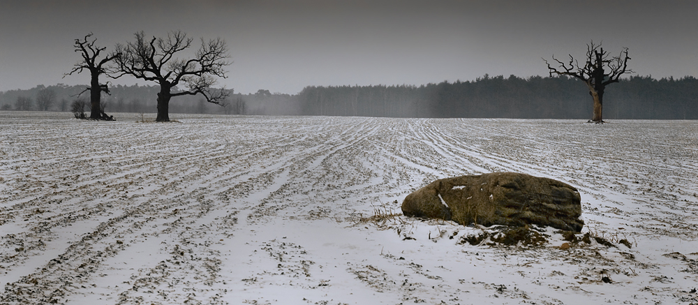 Łowca kombajnów