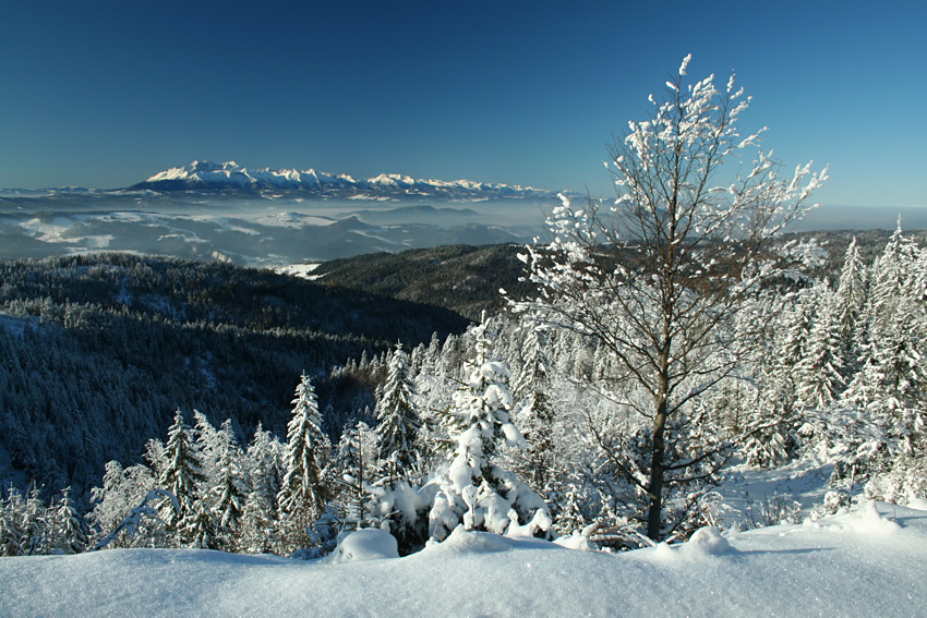 Z widokiem na Tatry