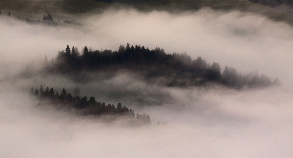 pieniny