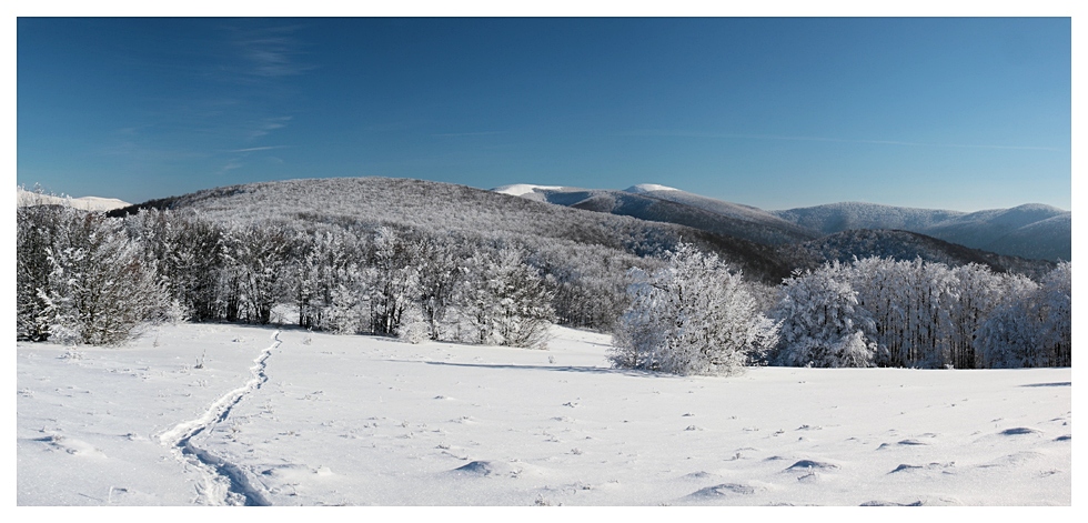 Bieszczady