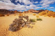 Wadi Rum