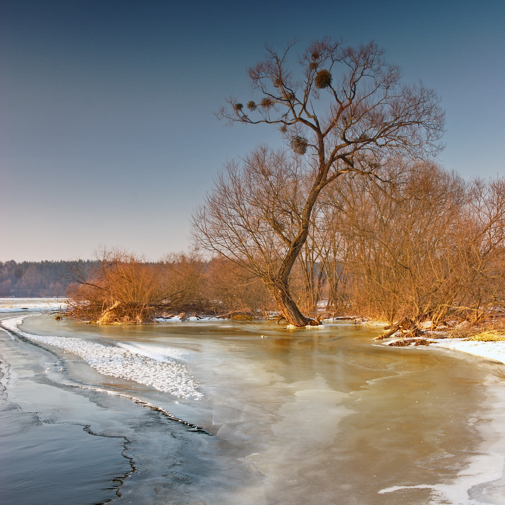 Nad wierzycą.