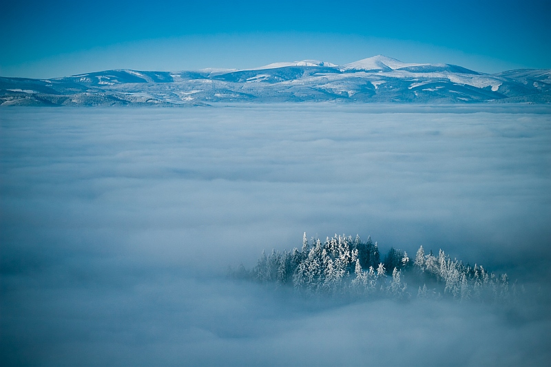 Śnieżka