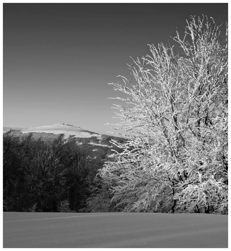 Bieszczady