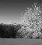 Bieszczady