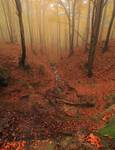 Beskid niski