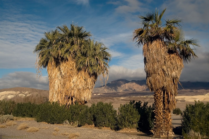 Death Valley, Ca. USA.