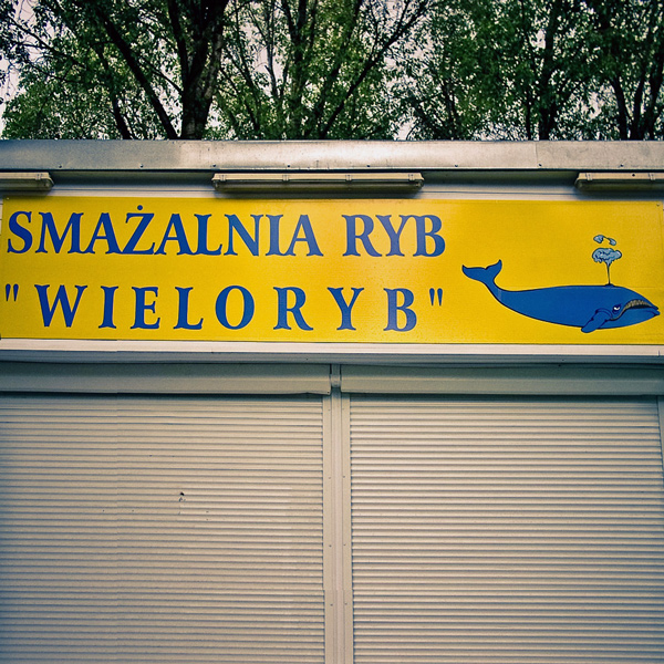 ul. Sienkiewicza Kielce