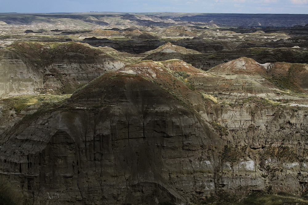 Dinosaur Provincial Park