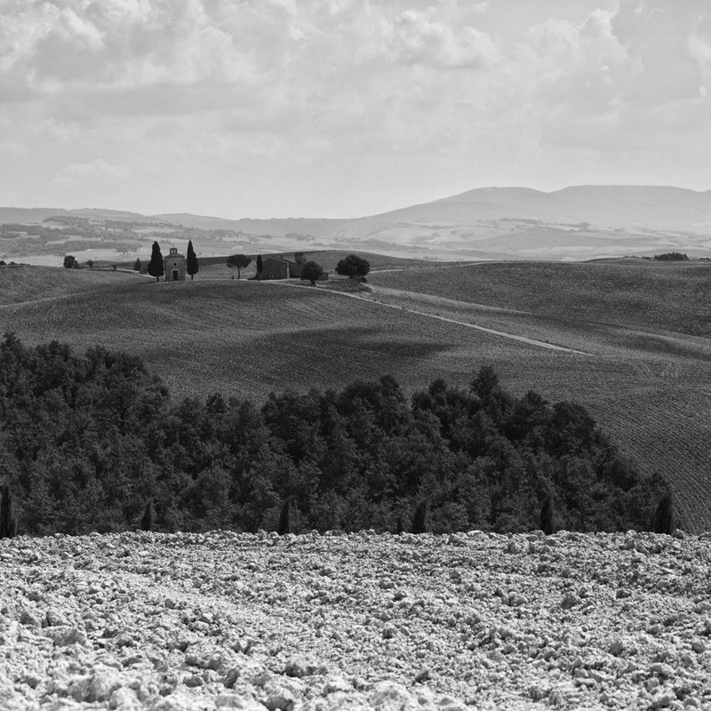 tuscany 3134