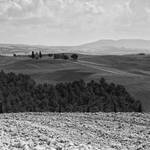 tuscany 3134