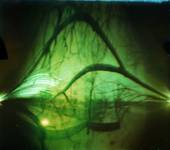 Solargraphy Ghost Building