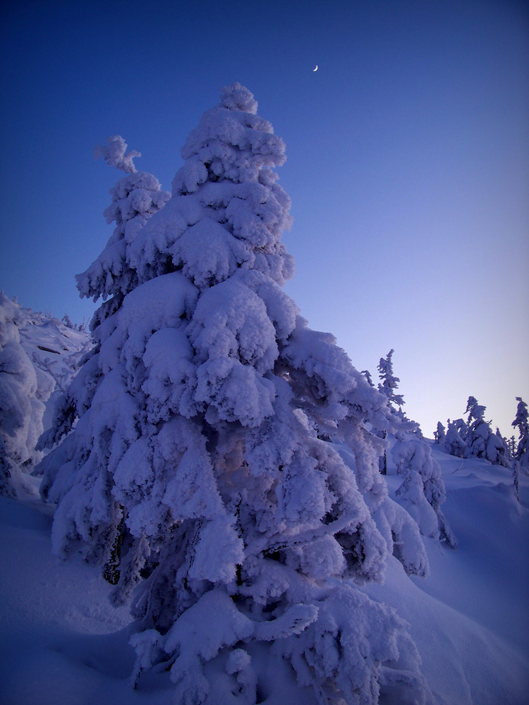 Karkonosze