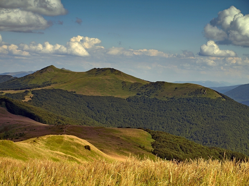 Bieszczady -..