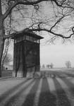 AUSCHWITZ - BIRKENAU