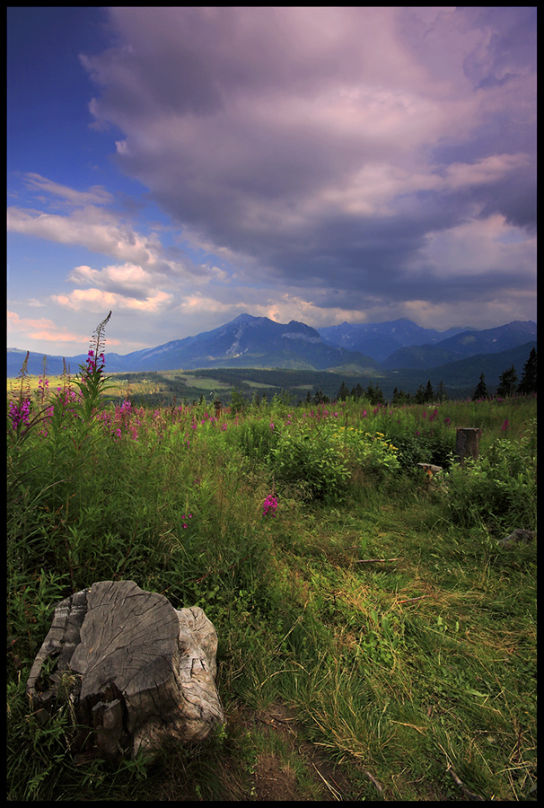 Tatry